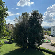 Sonnige Wohnung in Dietlikon ab 1.10.24. Top ÖV Anschluss. Teilmöbliert für 6 Monate.