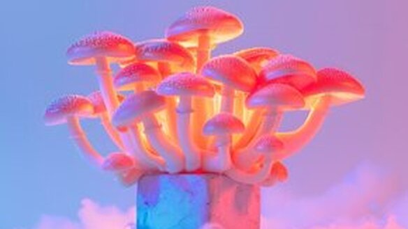 Teilnehmende für Psychedelika-Studie gesucht! (150 CHF)