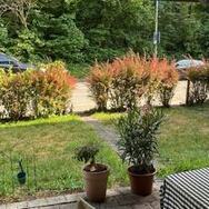 1.5 flat with private garden for sublet in October