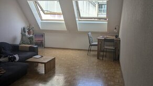 Apartment Zurich City Wipkingen, Furnished, available in October