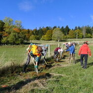 Wildhecken pflanzen am 26.10.2024 - sei dabei!