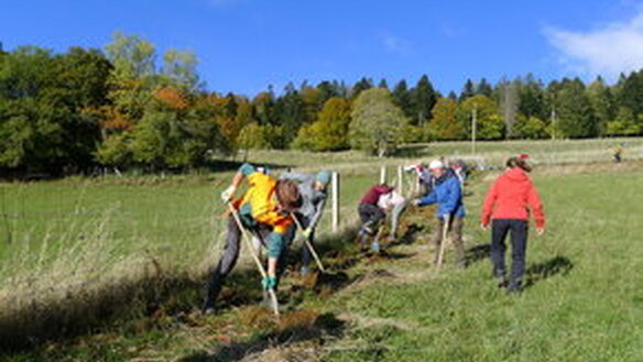 Wildhecken pflanzen am 26.10.2024 - sei dabei!