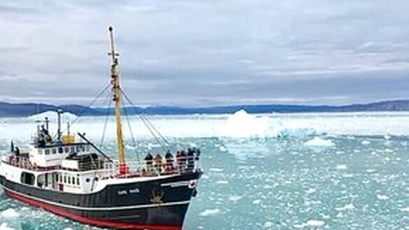 Vom kleinen Schiff aus die spektakuläre Natur des Nordens entdecken!