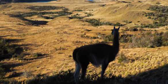 Sehnsuchtsort Patagonien