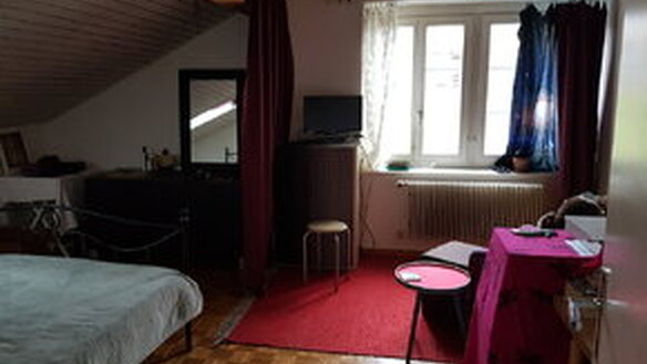 WG-Dachzimmer in Winterthur Eidberg ab 1.2.25