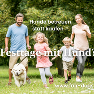 Verbringe die Feiertage mit einem Hund