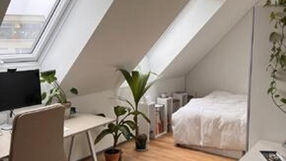 Room for Rent in Zurich (Wiedikon) – Modern, Bright, and Friendly Home