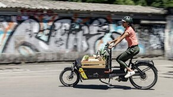 carvelo - Occasionsverkauf Riese und Müller Packster 60 eCargobike