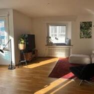 District 3 Wiedikon - Furnished apartment for sublet