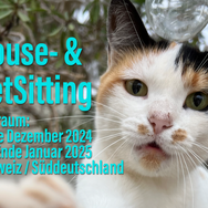 Biete Housesitting zwischen Mitte Dezember und Januar 2025 in Schweiz / Süddeutschland