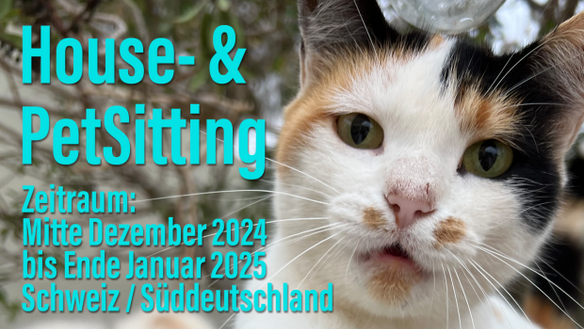 Biete Housesitting zwischen Mitte Dezember und Januar 2025 in Schweiz / Süddeutschland