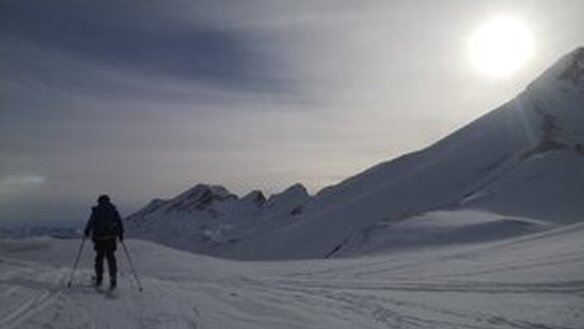 WWF-Exkursion - Schneeschuhtour - Im Reich der Tiere