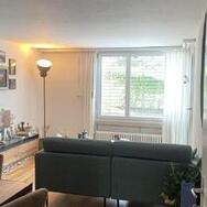 3 Zimmer Terassen Wohnung zu vermieten!