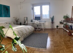 appartment to rent in Wiedikon (1 month)