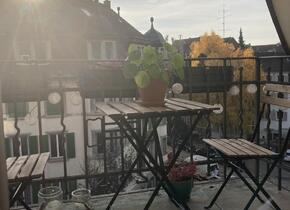 appartment to rent in Wiedikon (1 month)