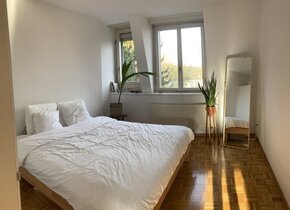 appartment to rent in Wiedikon (1 month)