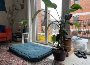 Living with us and the plants!