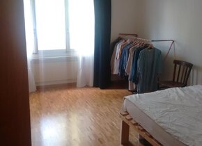 Helle & grosszügige 3.5 Zi. Balkonwohnung ab Juni...