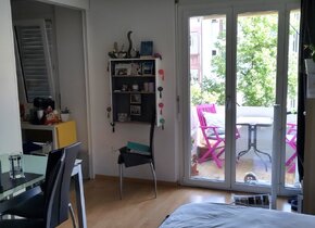 25m2 Studio Breitenrain