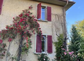 zentrale Wohnung in Ostermundigen