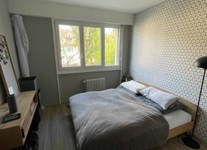 Bel appartement à Lausanne