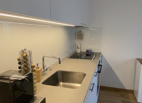 2-room flat in Niederdorf available to sublet from May 1