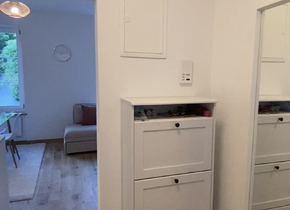 2-room flat in Niederdorf available to sublet from May 1