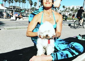 Female yoga teacher Looking for a dog friendly 1 room...