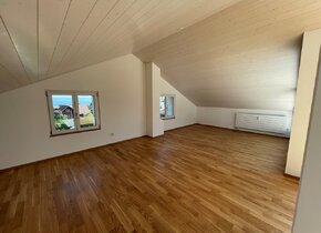 Neu entstandene Dachwohnung mit Seesicht