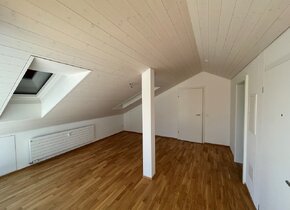 Neu entstandene Dachwohnung mit Seesicht