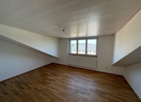 Neu entstandene Dachwohnung mit Seesicht