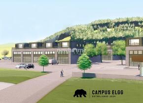 Wo der Bär tanzt: neue Mietflächen im Campus Elgg ab 500 m2