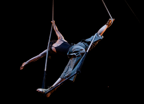 Hier lernst du Zirkus:
Wöchentliche Akrobatik-Kurse im...