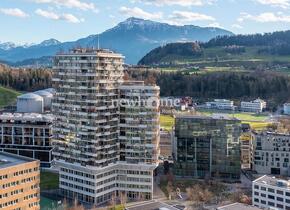 Exquisit Wohnen im steuergünstigen Kanton Zug mit Panoramablick