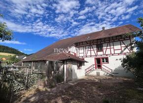 Grosses Bauernhaus mit Remise und Bienenhaus