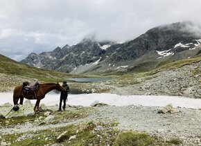 Reiten & Yoga Retreats