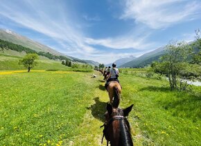 Reiten & Yoga Retreats