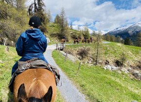 Reiten & Yoga Retreats