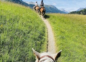 Reiten & Yoga Retreats