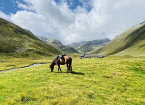 Reiten & Yoga Retreats