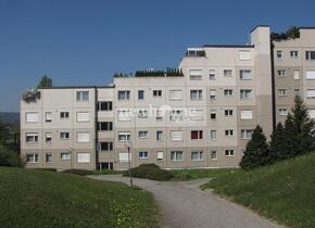 Herrliche 5.5 Zimmer-Wohnung mit Großer Terrasse