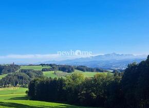 Neues EFH mit 70m2-Terrasse in Richtung Süden in Greutensberg