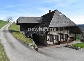 GEMÜTLICH MIT CHEMINÉE UND AUF DEM LANDE