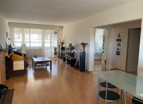 Bright furnished 3.5 room flat with best location in Zug