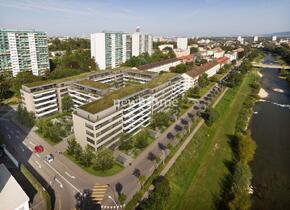 Birspark Basel / moderne 3,5-Zimmerwohnung