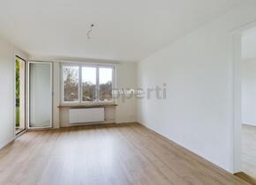 Moderne 4.5 Zimmer-Wohnung mit Balkon und neuem Parkett in Bremgart...