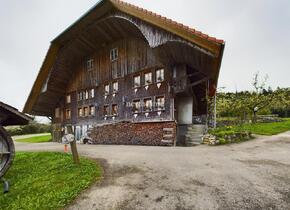 Ferienwohnung in an schöner Lage auf dem Kapf in Eggiswil