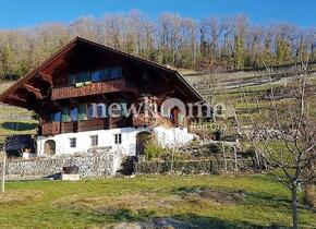 4½ ZIMMER-HAUS IN SPIEZ (BE), MÖBLIERT, TEMPORÄR