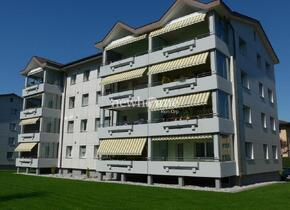 Lichtdurchflutete Wohnung mit grossem Balkon