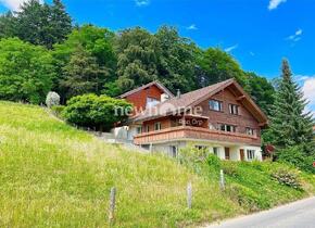 Doppeleinfamilienhaus an toller Hanglage mit viel Platz